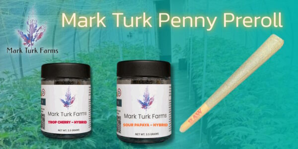 Mark Turk Penny Preroll