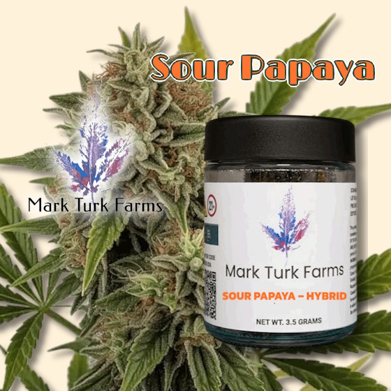Mark Turk Farms Sour Papaya hybrid flower, 3.5 gram jar