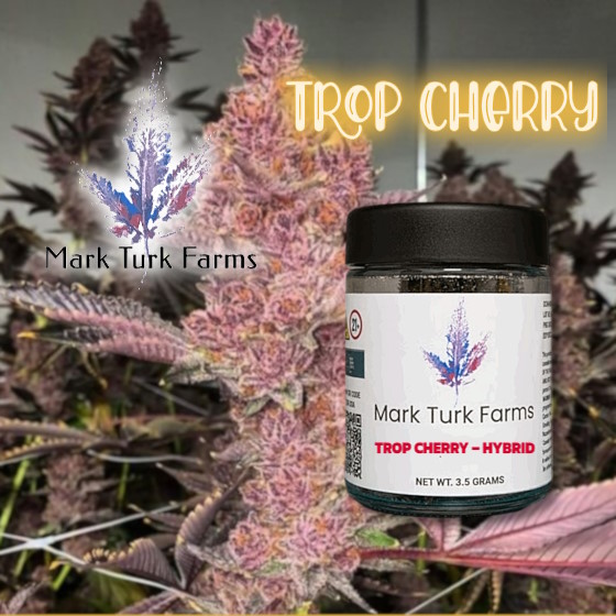 Mark Turk Farms Trop Cherry hybrid flower, 3.5 gram jar