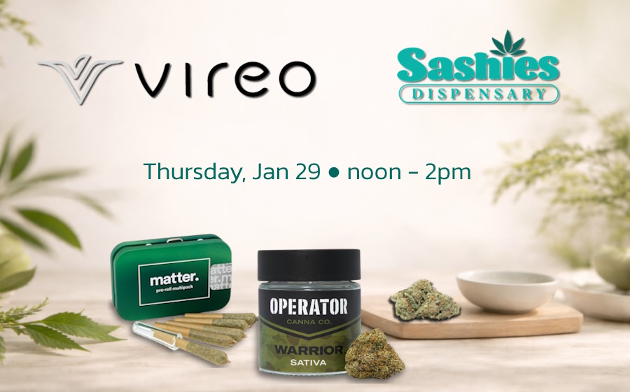 Vireo pops up at Sashies