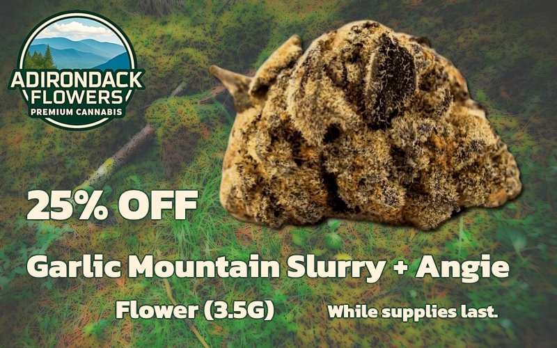 25% OFF - Garlic Mountain Slurry + Angie (#.5G) - Adirondack Flowers