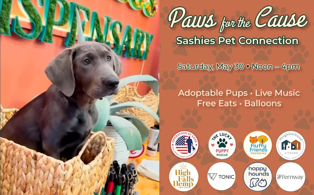 Paws for the Cause - May 30 noon-4pm - Adoptable Pups, Live Music, Free Eats, Balloons