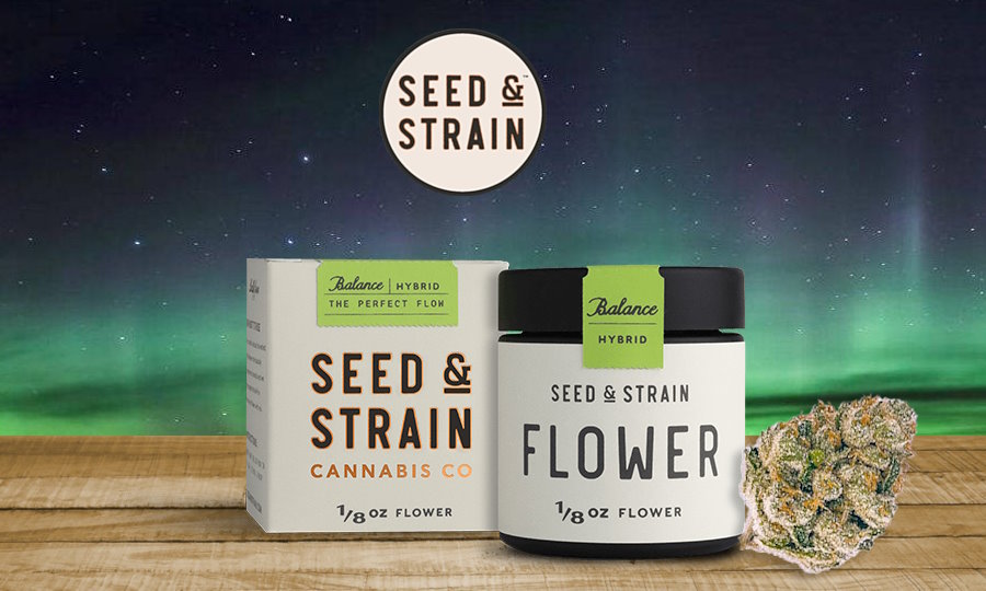 Seed and Strain - flower