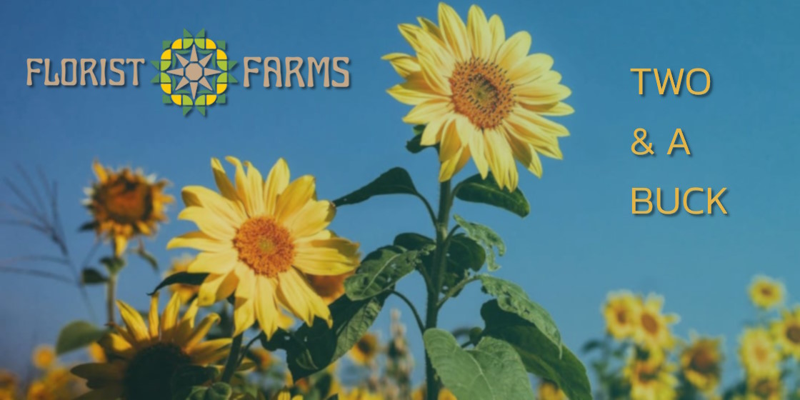 Florist Farms - Two & a Buck